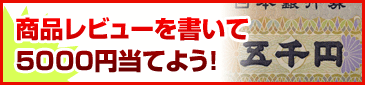 商品レビューをかいて5000円を当てよう